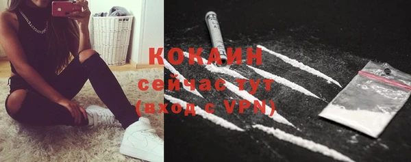 дживик Протвино