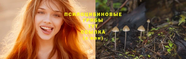 MDMA Приозерск
