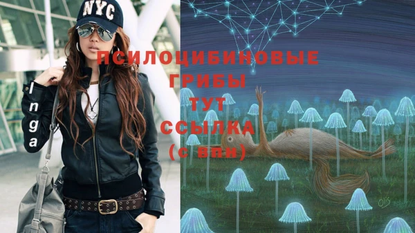 ECSTASY Абдулино