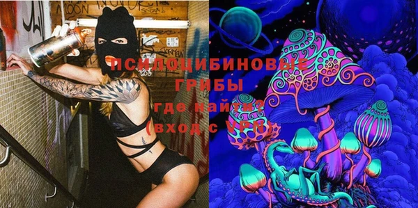 прущая мука Абаза