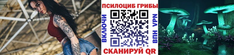 Галлюциногенные грибы Psilocybine cubensis  Никольск 